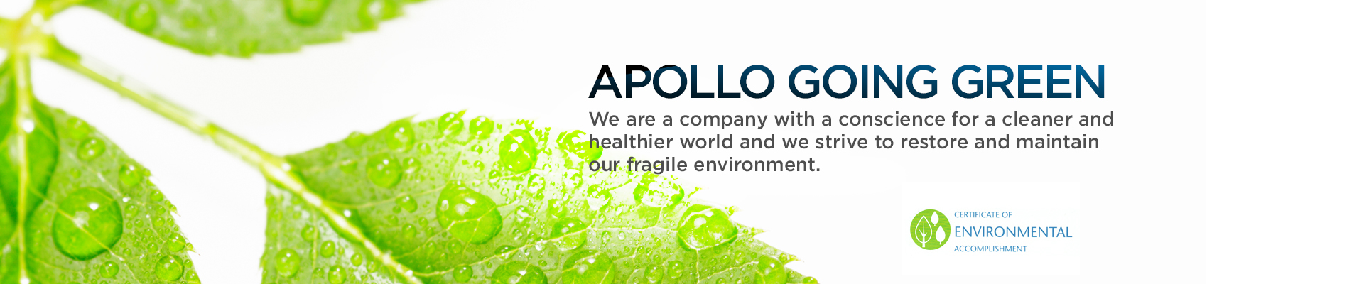 Apollo Health & Beauty Care